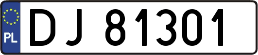 DJ81301