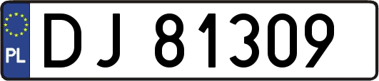 DJ81309