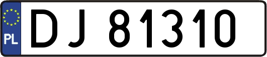 DJ81310