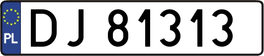 DJ81313