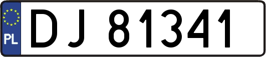 DJ81341
