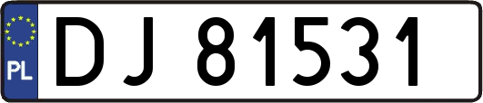 DJ81531