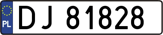 DJ81828