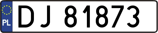 DJ81873