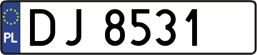 DJ8531