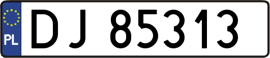 DJ85313