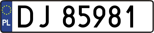 DJ85981
