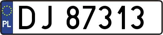 DJ87313