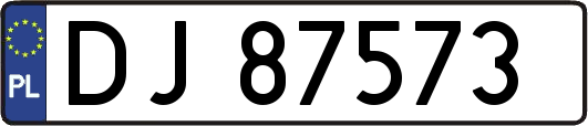 DJ87573