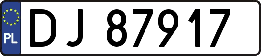 DJ87917