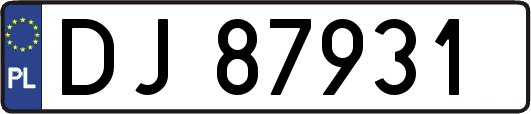 DJ87931