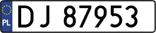 DJ87953