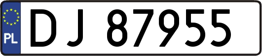 DJ87955
