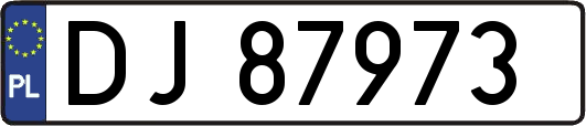 DJ87973