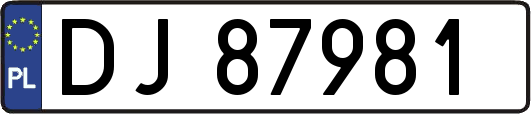 DJ87981
