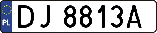 DJ8813A