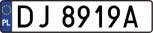 DJ8919A