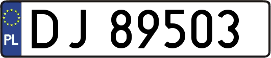 DJ89503