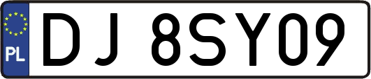 DJ8SY09