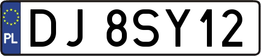 DJ8SY12