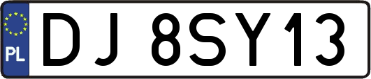 DJ8SY13
