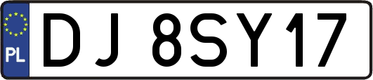 DJ8SY17