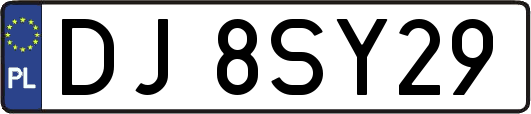 DJ8SY29
