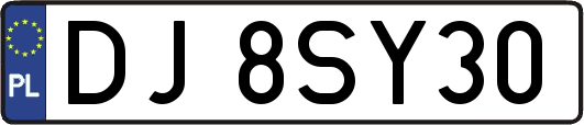 DJ8SY30