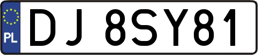 DJ8SY81