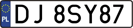 DJ8SY87