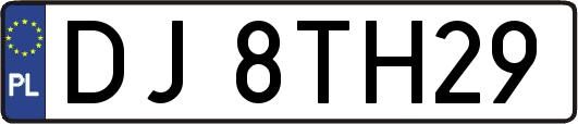 DJ8TH29