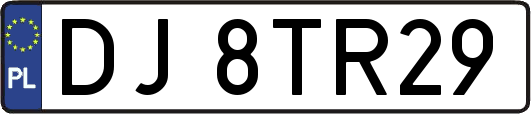 DJ8TR29