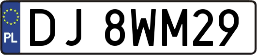 DJ8WM29