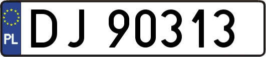 DJ90313