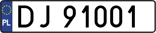 DJ91001