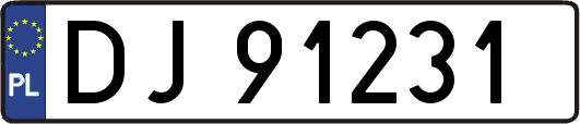 DJ91231