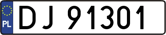 DJ91301