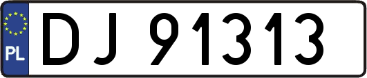 DJ91313