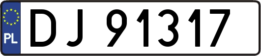 DJ91317