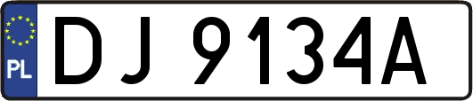 DJ9134A