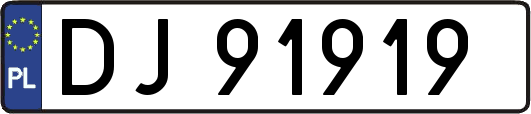 DJ91919