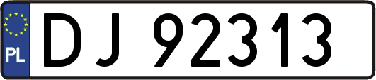 DJ92313