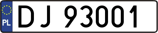 DJ93001