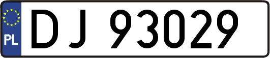 DJ93029