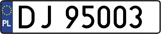 DJ95003