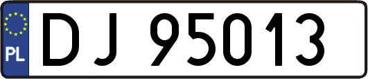 DJ95013