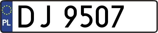 DJ9507