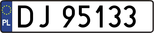 DJ95133