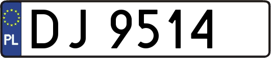 DJ9514