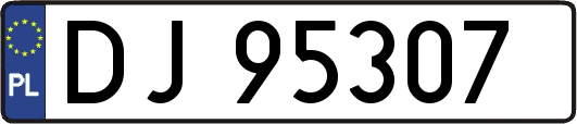 DJ95307